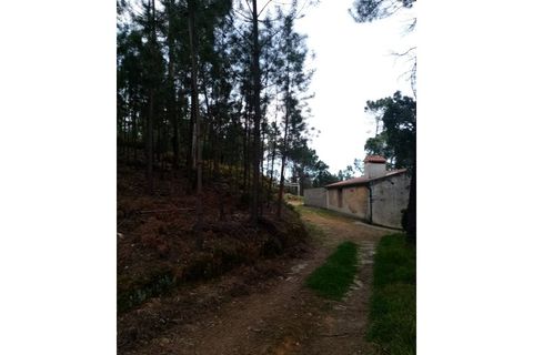 Erhvervsejendom i Macao, Santarem, Macao - € 125.000 | Ref: FIN_96 - foto 19