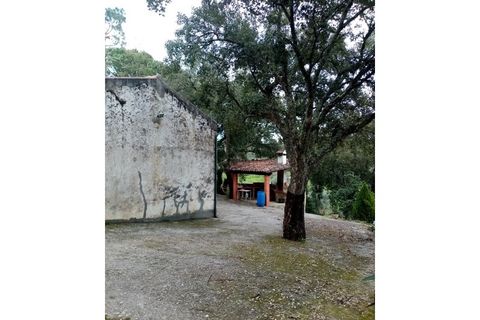 Erhvervsejendom i Macao, Santarem, Macao - € 125.000 | Ref: FIN_96 - foto 23