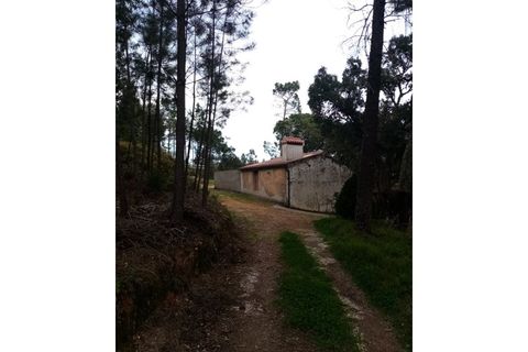 Erhvervsejendom i Macao, Santarem, Macao - € 125.000 | Ref: FIN_96 - foto 25