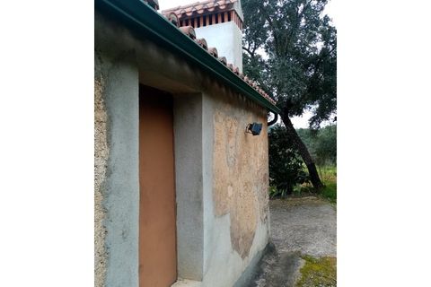 Erhvervsejendom i Macao, Santarem, Macao - € 125.000 | Ref: FIN_96 - foto 29