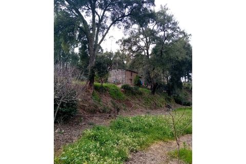 Erhvervsejendom i Macao, Santarem, Macao - € 125.000 | Ref: FIN_96 - foto 30