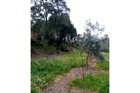 Erhvervsejendom i Macao, Santarem, Macao - € 125.000 | Ref: FIN_96 - foto 31