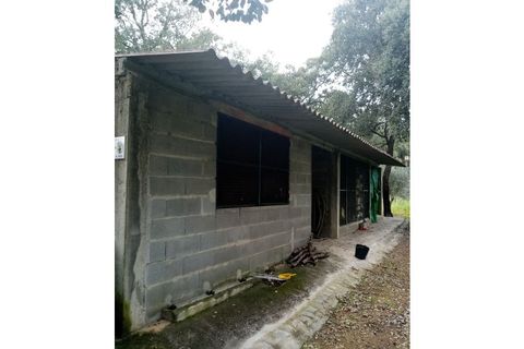 Erhvervsejendom i Macao, Santarem, Macao - € 125.000 | Ref: FIN_96 - foto 32
