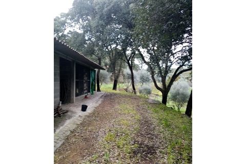 Erhvervsejendom i Macao, Santarem, Macao - € 125.000 | Ref: FIN_96 - foto 33