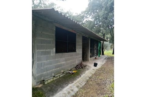 Erhvervsejendom i Macao, Santarem, Macao - € 125.000 | Ref: FIN_96 - foto 35