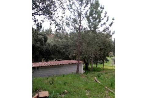 Erhvervsejendom i Macao, Santarem, Macao - € 125.000 | Ref: FIN_96 - foto 36