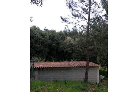 Erhvervsejendom i Macao, Santarem, Macao - € 125.000 | Ref: FIN_96 - foto 37