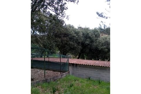 Erhvervsejendom i Macao, Santarem, Macao - € 125.000 | Ref: FIN_96 - foto 39