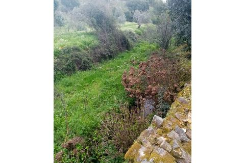 Erhvervsejendom i Macao, Santarem, Macao - € 125.000 | Ref: FIN_96 - foto 43