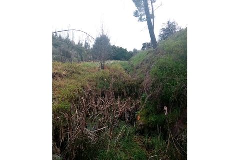 Erhvervsejendom i Macao, Santarem, Macao - € 125.000 | Ref: FIN_96 - foto 46