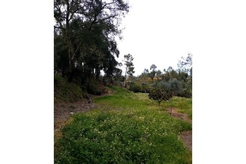 Erhvervsejendom i Macao, Santarem, Macao - € 125.000 | Ref: FIN_96 - foto 49