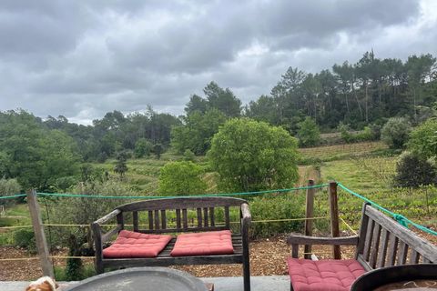 Erhvervsejendom i Carcès, Var, Carcès - € 1.950.000 | Ref: HH-15382652 - foto 7