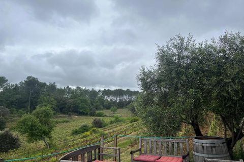 Erhvervsejendom i Carcès, Var, Carcès - € 1.950.000 | Ref: HH-15382652 - foto 8
