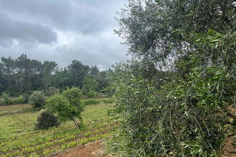 Erhvervsejendom i Carcès, Var, Carcès - € 1.950.000 | Ref: HH-15382652 - foto 9