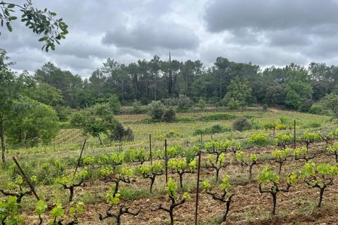 Erhvervsejendom i Carcès, Var, Carcès - € 1.950.000 | Ref: HH-15382652 - foto 10