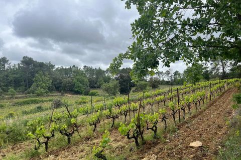 Erhvervsejendom i Carcès, Var, Carcès - € 1.950.000 | Ref: HH-15382652 - foto 11