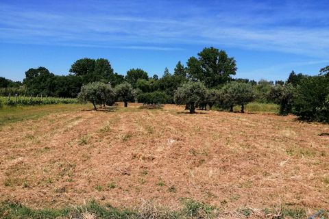 Helårsgrund i Tomar, Santarem, Tomar - € 15.000 | Ref: VCP336 - foto 2