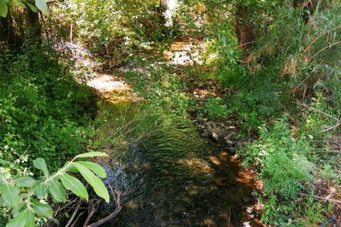 Helårsgrund i Tomar, Santarem, Tomar - € 15.000 | Ref: VCP336 - foto 4