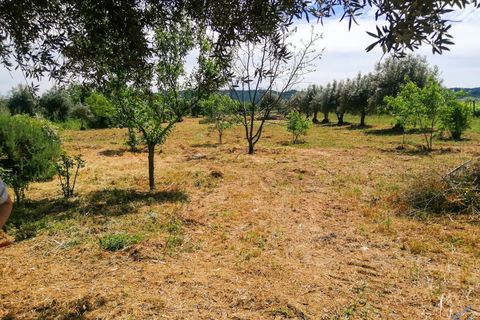 Helårsgrund i Tomar, Santarem, Tomar - € 15.000 | Ref: VCP336 - foto 5