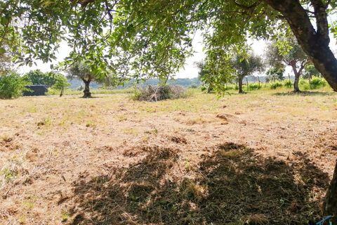 Helårsgrund i Tomar, Santarem, Tomar - € 15.000 | Ref: VCP336 - foto 7