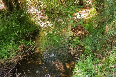 Helårsgrund i Tomar, Santarem, Tomar - € 15.000 | Ref: VCP336 - foto 8