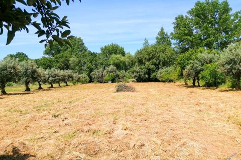 Helårsgrund i Tomar, Santarem, Tomar - € 15.000 | Ref: VCP336 - foto 9