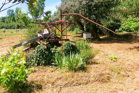 Helårsgrund i Tomar, Santarem, Tomar - € 15.000 | Ref: VCP336 - foto 10