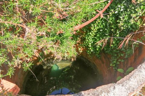 Helårsgrund i Tomar, Santarem, Tomar - € 15.000 | Ref: VCP336 - foto 11
