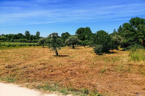 Helårsgrund i Tomar, Santarem, Tomar - € 15.000 | Ref: VCP336 - foto 12