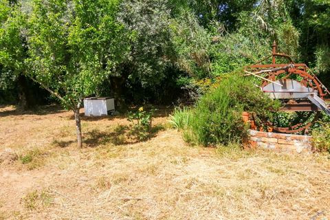 Helårsgrund i Tomar, Santarem, Tomar - € 15.000 | Ref: VCP336 - foto 13