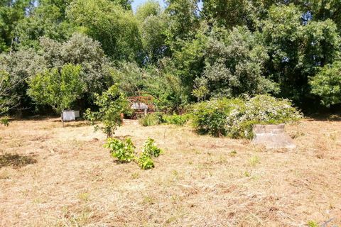 Helårsgrund i Tomar, Santarem, Tomar - € 15.000 | Ref: VCP336 - foto 14