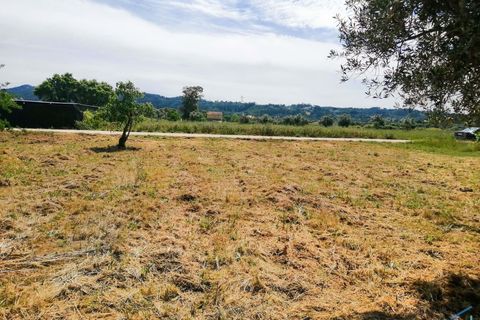 Helårsgrund i Tomar, Santarem, Tomar - € 15.000 | Ref: VCP336 - foto 15