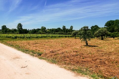 Helårsgrund i Tomar, Santarem, Tomar - € 15.000 | Ref: VCP336 - foto 16