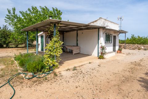 Finca a Tortosa, Tarragona, Tortosa - € 74.000 | Ref: 58 - foto 14