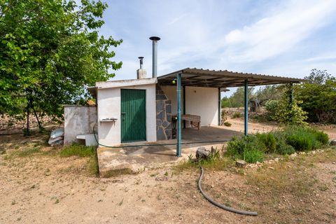 Finca a Tortosa, Tarragona, Tortosa - € 74.000 | Ref: 58 - foto 13