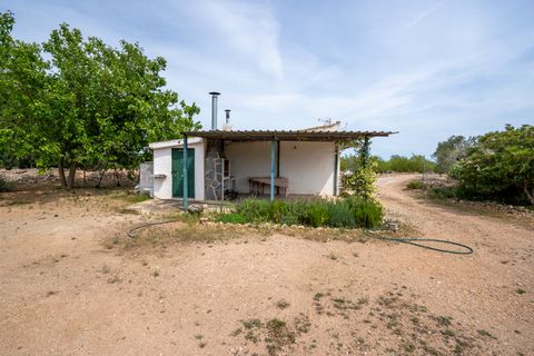 Finca a Tortosa, Tarragona, Tortosa - € 74.000 | Ref: 58 - foto 12