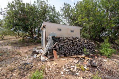Finca a Tortosa, Tarragona, Tortosa - € 74.000 | Ref: 58 - foto 21