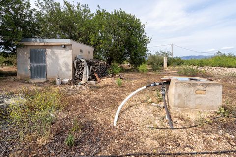 Finca a Tortosa, Tarragona, Tortosa - € 74.000 | Ref: 58 - foto 20