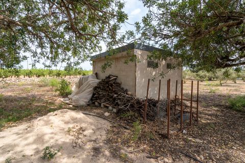 Finca a Tortosa, Tarragona, Tortosa - € 74.000 | Ref: 58 - foto 22
