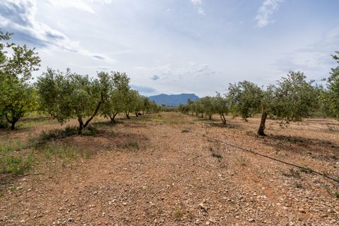 Finca a Tortosa, Tarragona, Tortosa - € 74.000 | Ref: 58 - foto 26