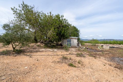 Finca a Tortosa, Tarragona, Tortosa - € 74.000 | Ref: 58 - foto 19