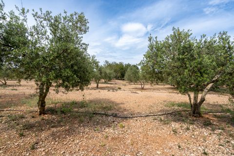 Finca a Tortosa, Tarragona, Tortosa - € 74.000 | Ref: 58 - foto 23