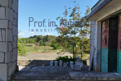 Villa i Ceglie Messapica, Brindisi, Ceglie Messapica - € 450.000 | Ref: 132676 - foto 10