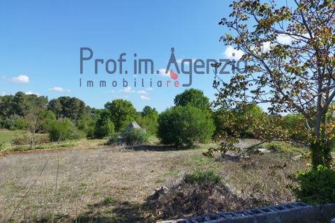 Villa i Ceglie Messapica, Brindisi, Ceglie Messapica - € 450.000 | Ref: 132676 - foto 19