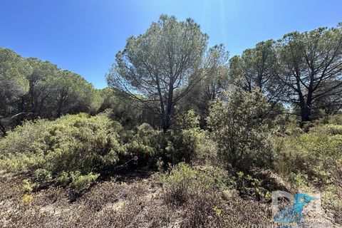 Helårsgrund i Montblanc, Herault, Montblanc - € 23.000 | Ref: 345771386 - foto 2