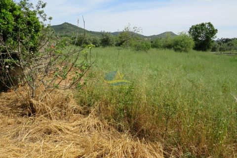 Helårsgrund i Penela, Coimbra, Penela - € 85.000 | Ref: ko2550 - foto 6