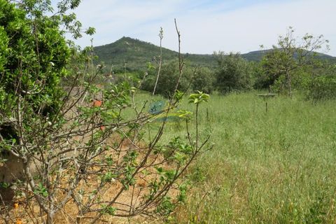 Helårsgrund i Penela, Coimbra, Penela - € 85.000 | Ref: ko2550 - foto 7