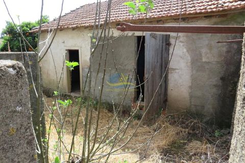 Helårsgrund i Penela, Coimbra, Penela - € 85.000 | Ref: ko2550 - foto 14