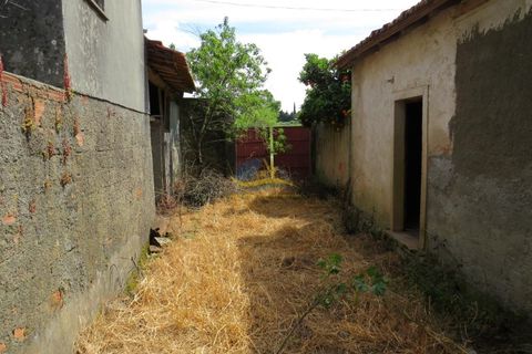 Helårsgrund i Penela, Coimbra, Penela - € 85.000 | Ref: ko2550 - foto 15
