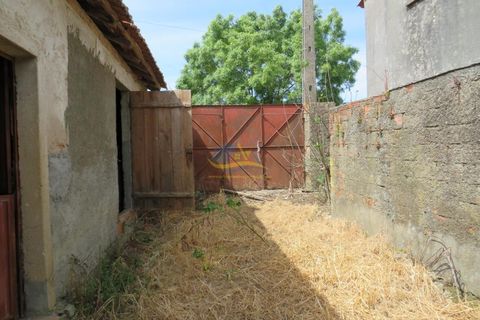 Helårsgrund i Penela, Coimbra, Penela - € 85.000 | Ref: ko2550 - foto 17